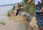 সিরাজগঞ্জে বাড়ছে যমুনার পানি, নদীতীরে ভাঙন আতঙ্ক