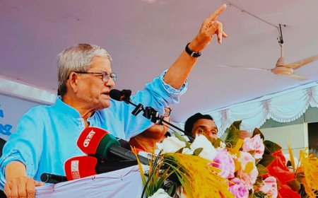 দেশবিরোধী ষড়যন্ত্র মোকাবিলায় সবাইকে সজাগ থাকার আহ্বান মির্জা ফখরুলের