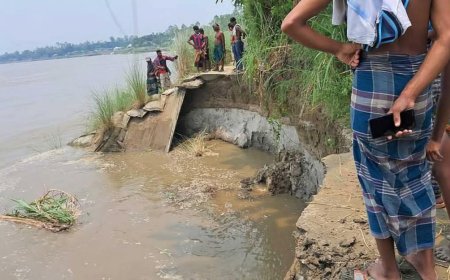 সিরাজগঞ্জে বাড়ছে যমুনার পানি, নদীতীরে ভাঙন আতঙ্ক