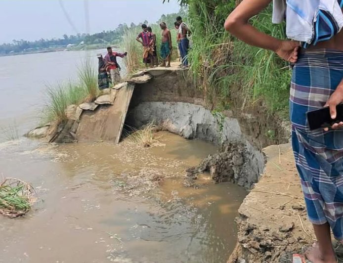 সিরাজগঞ্জে বাড়ছে যমুনার পানি, নদীতীরে ভাঙন আতঙ্ক