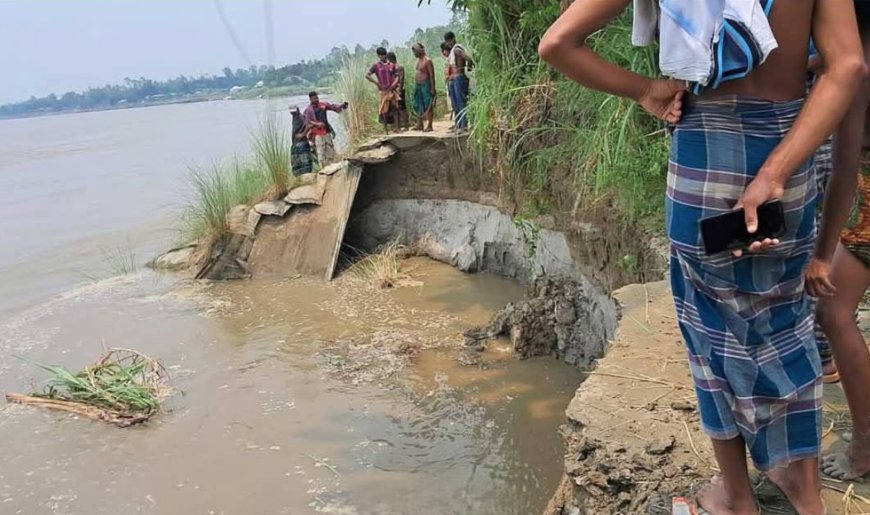 সিরাজগঞ্জে বাড়ছে যমুনার পানি, নদীতীরে ভাঙন আতঙ্ক