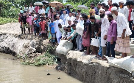 যমুনার বাম তীর রক্ষায় বাঁধ নির্মাণে পাঁচ এমপির উদ্যোগ