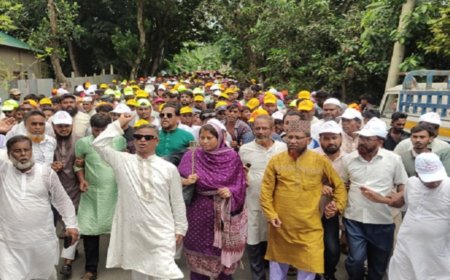 চৌহালীতে  বর্ণাঢ্য আয়োজনে বিএনপির ৪৮ তম প্রতিষ্ঠা বার্ষিকী পালন